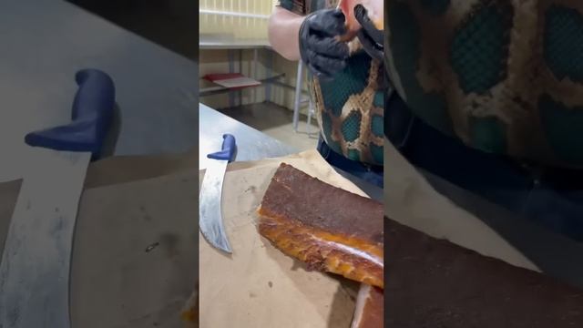 ДИЧЬ СО СПЕЦИЯМИ ? КРУПНЫЙ СОМ - ФИЛЕ #рыба #сом #дичь смотреть онлайн