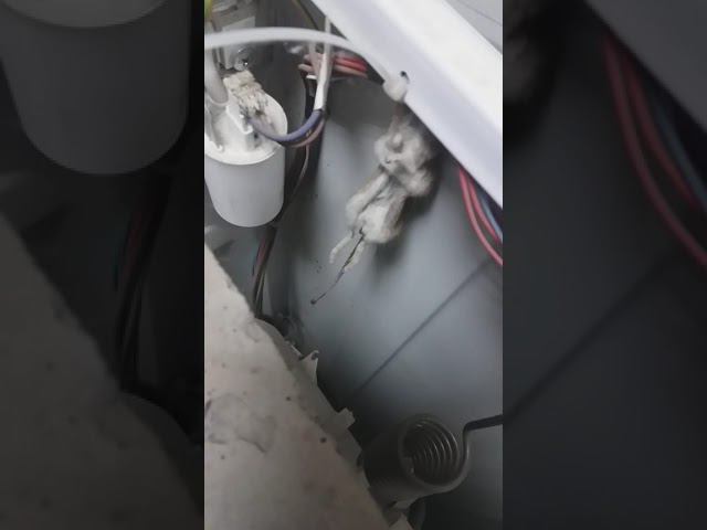 мышь повесилась смотреть онлайн