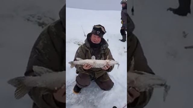 Щука на тюльку. смотреть онлайн