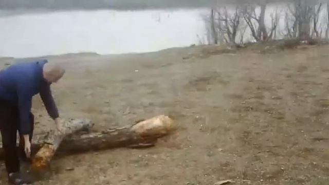 Крымское водохранилище про воробья мутанта😂 смотреть онлайн