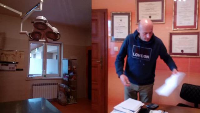 Как помогают животным в Польше. смотреть онлайн