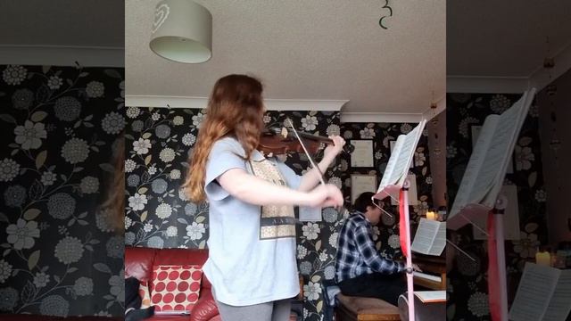 Albinoni ~ Sonata in G minor 🎻 смотреть онлайн