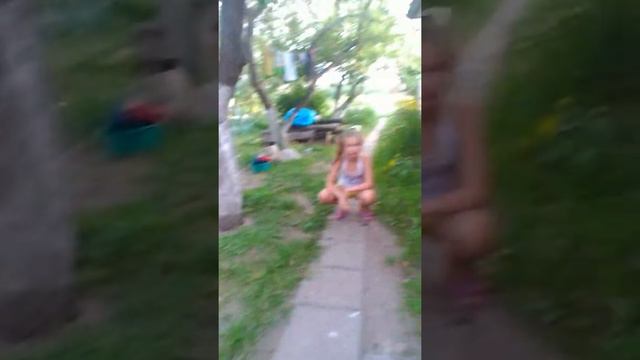 Кошка ласкается смотреть онлайн