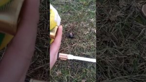 Подключение скважины к дому через скважинный адаптер