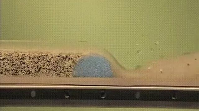 Наглядный пример как плотина влияет на водоем смотреть онлайн