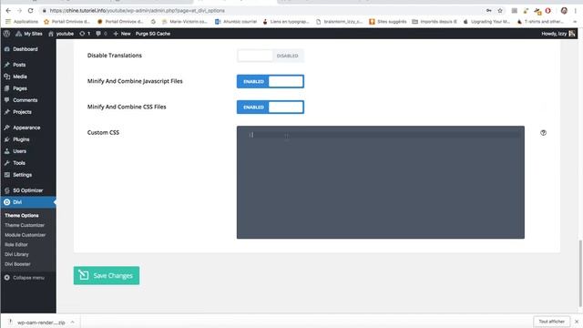 Wordpress, DIVI, change hamburger menu color смотреть онлайн