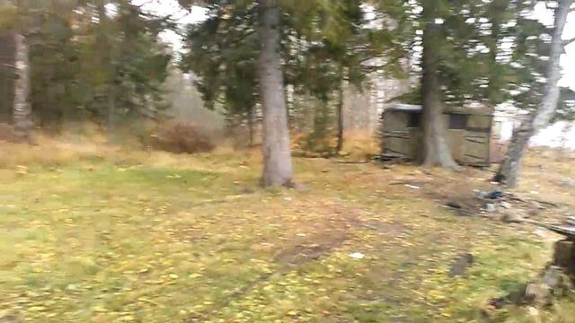 Память о бабушки смотреть онлайн