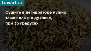 Как высушить Розмарин и сохранить его