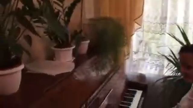 Катюша Лихтар свадебный аккорд смотреть онлайн