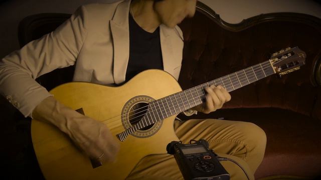 Loop sounds on a nylon string acoustic guitar (Camps FL-11 Flamenco, Fishman Premium Blend Pickup) смотреть онлайн
