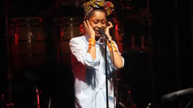 Erykah Badu Live in Cape Town CTIJF15. (Photo mash up video) смотреть онлайн