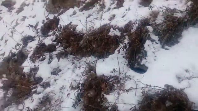 Подъем с отцом на сопку смотреть онлайн