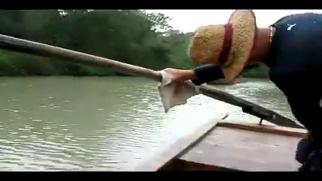 Ханчжоу.Национальный парк (Китай) смотреть онлайн