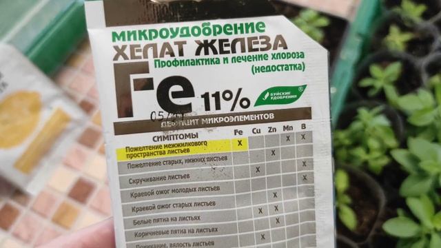 Хлороз.Желтеет рассада. Что делать? 2 способа. смотреть онлайн
