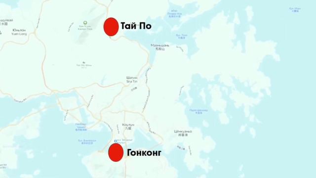 Дело№4 Эбби Чой....🖤💔 смотреть онлайн