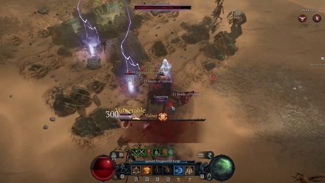 Diablo 4: PvP Druid 2x1 смотреть онлайн