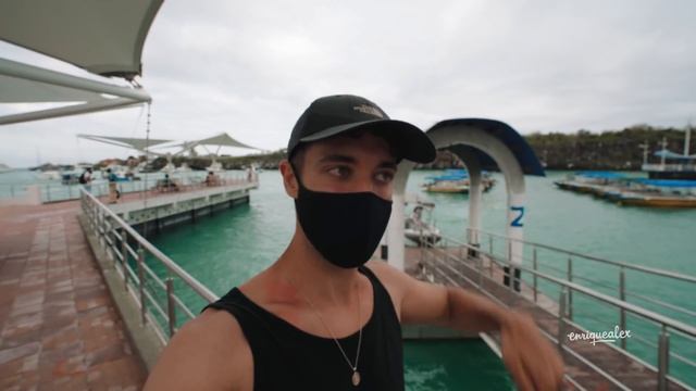 LAS ISLAS GALÁPAGOS: El último refugio (ECUADOR) 4K | enriquealex смотреть онлайн