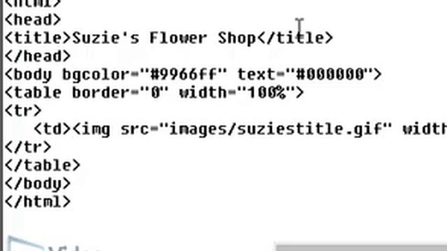 Video Professor: Images HTML Tutorial, Alt Tags смотреть онлайн