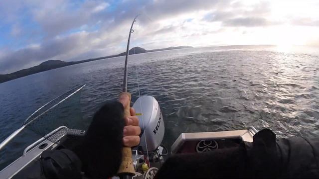 New Zealand Lake Taupo Delta Fly Fishing Adventure Part 2 смотреть онлайн