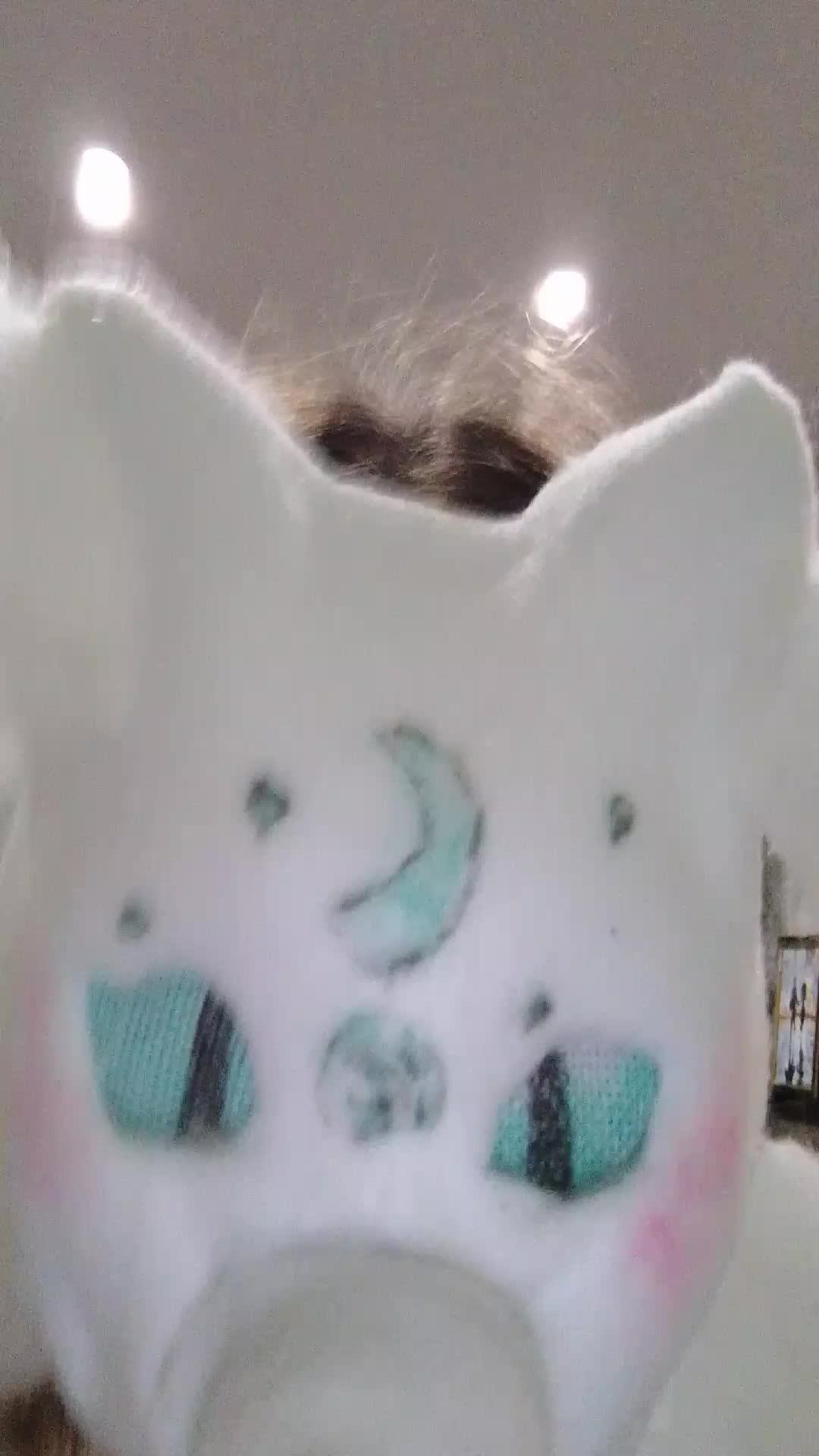 дикие лисички