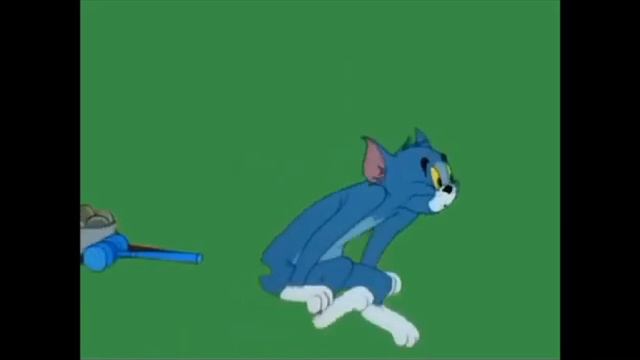 White Rat # save Tom @@ Green screen.... смотреть онлайн