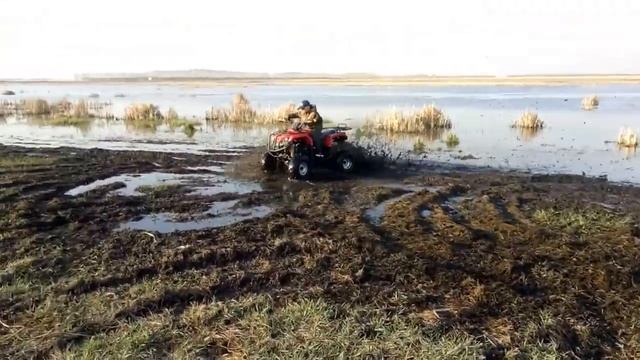 Квадроцикл 150 клубов . смотреть онлайн
