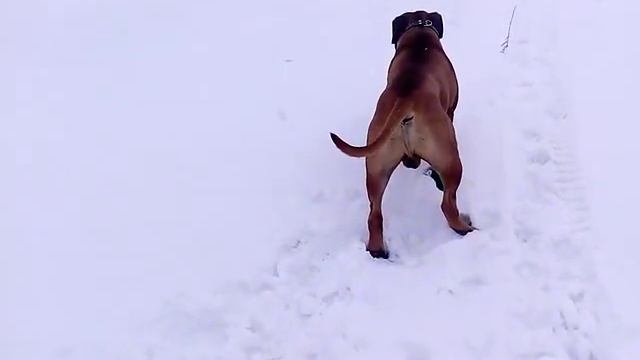 VID 20190225 153309 смотреть онлайн