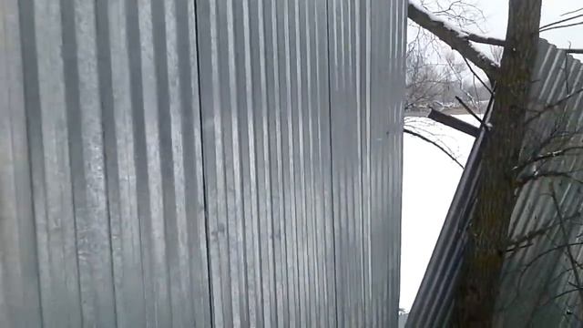 подснежники кожевенный кордон 3.mp4