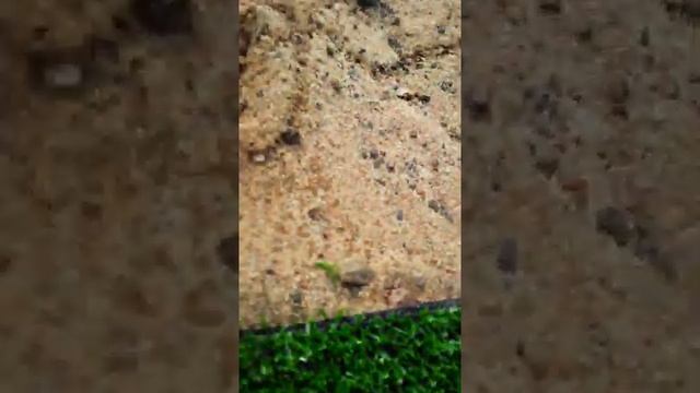 10 моего мучния смотреть онлайн