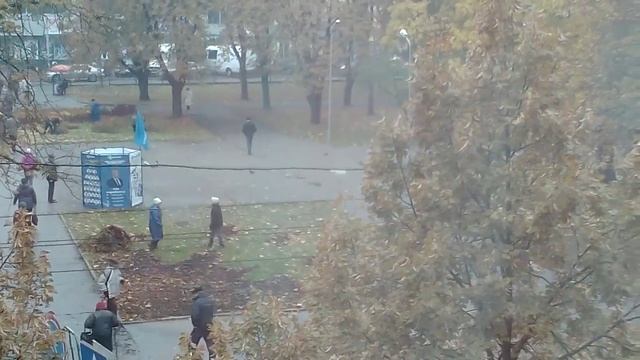 В Чернигове убирают клумбы. смотреть онлайн