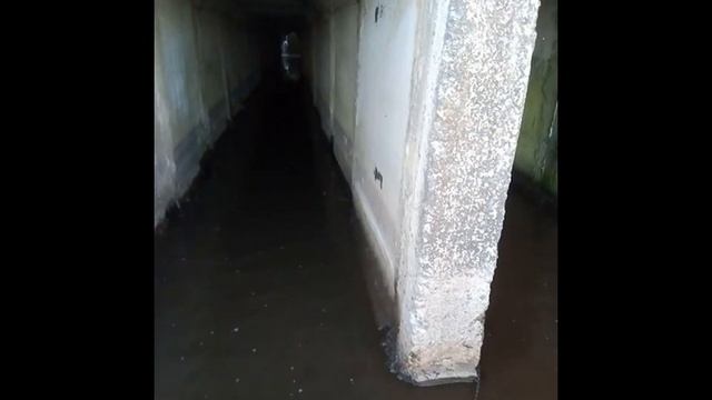 Посмотрите сколько металла находит поисковый магнит в шлюзе смотреть онлайн