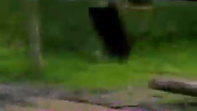 Сентелек.flv смотреть онлайн