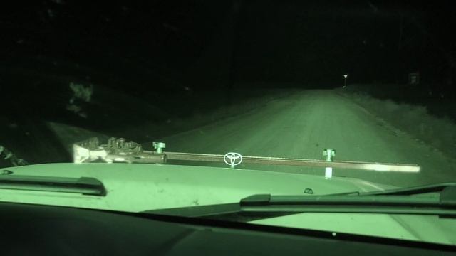 Два козла, два кабана. Удачная ночная охота с подхода в Беларуси. смотреть онлайн