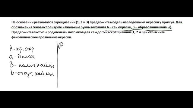 Московская олимпиада по генетике #1 смотреть онлайн