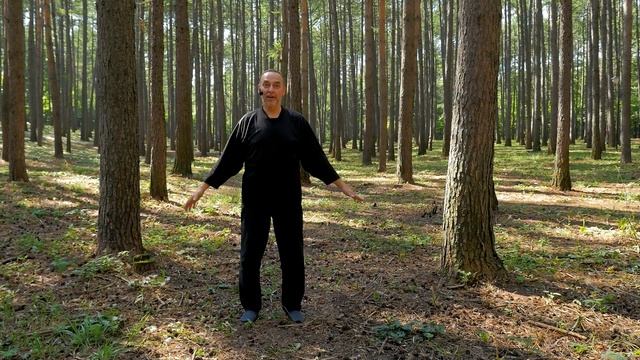 Практики Ушу и Цигун с Шамилем Гайсиным смотреть онлайн