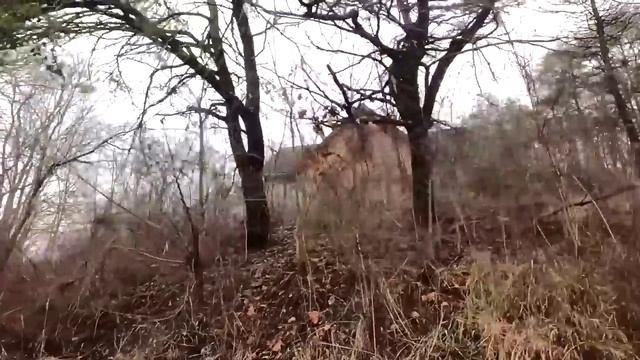 Прекрасная Америка ждёт тебя в своих бараки смотреть онлайн