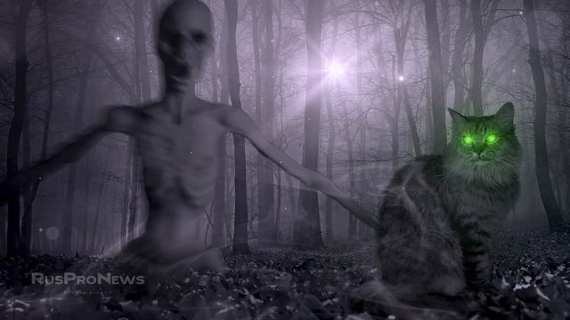 RusProNews: Йеллоустоун. Переполюсовка. Сказки о прошлом, будущем и настоящем. Снежная королева смотреть онлайн