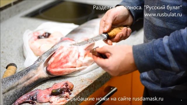 Разделка веслоноса. Сравнение ножа Рыбацкий и Форватер смотреть онлайн