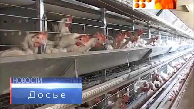 Мастерство и Успех