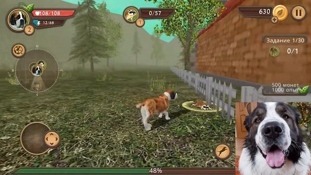 Dog Sim #1. Летсплей Симулятор собаки онлайн. Прохождение. Булат играет в игры смотреть онлайн