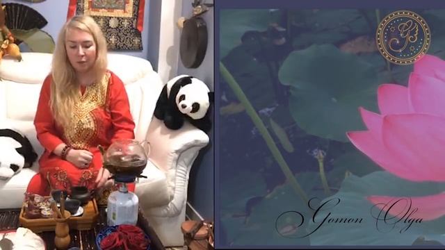 Завтрак с Мастером 08.04.2020 смотреть онлайн