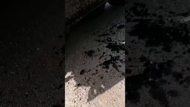 приключение Вжика. Урезали и поменяли мотор Рено твинго Renault twingo смотреть онлайн