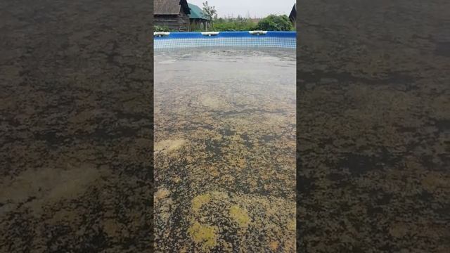 чистим бассейн перекисью водорода смотреть онлайн