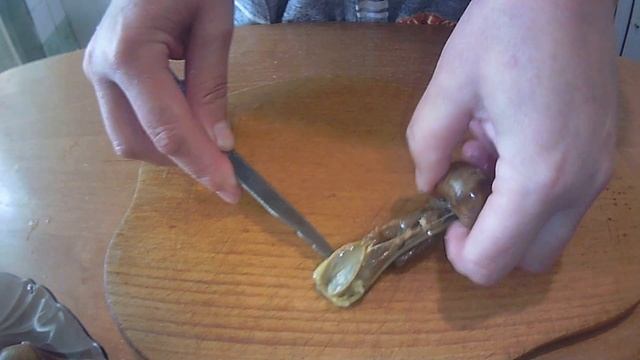 КАК ОБРАБОТАТЬ И ЗАГОТОВИТЬ ВИНОГРАДНЫЕ УЛИТКИ В ПРОК. ГОТОВИМ ДОМА. HOW TO PROCESS AND PREPARE GRA смотреть онлайн