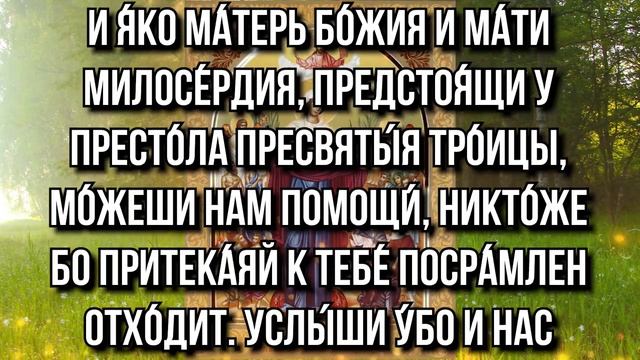 Private video смотреть онлайн