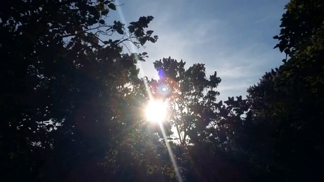 Нереальная красота! Сиреневый сад в Москве! 17.05.2019. Lilac garden in Moscow. смотреть онлайн