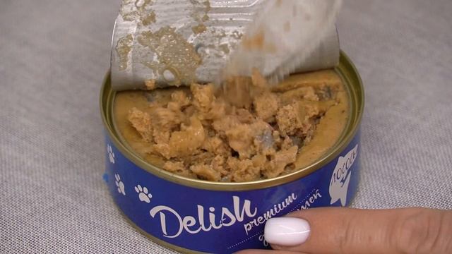 DELISH - корм российского производства