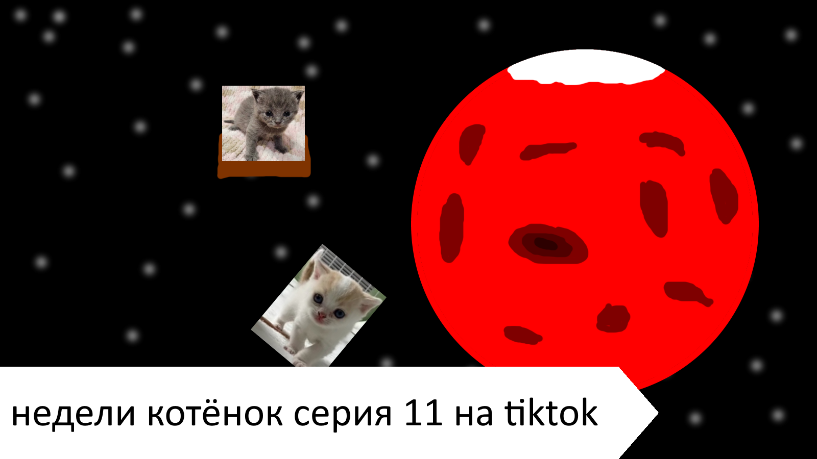 Недели котёнок серия 11 на tiktok смотреть онлайн