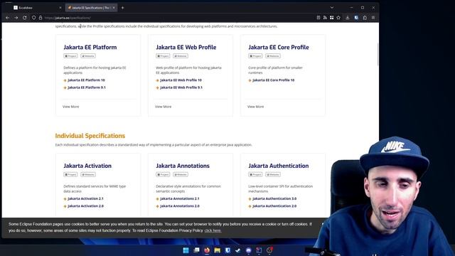 ¿Qué es Jakarta EE? (o Java EE) смотреть онлайн