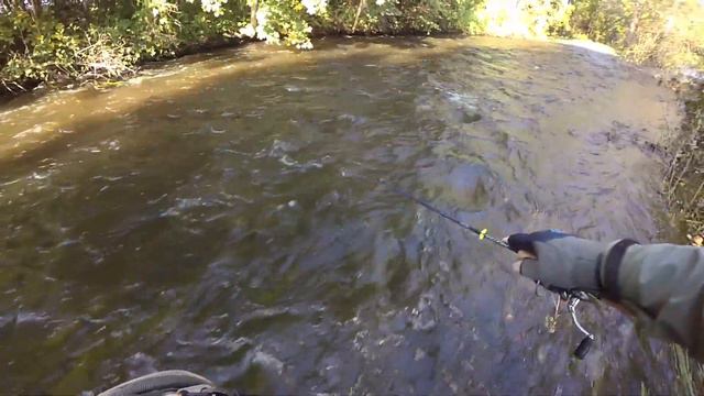 быстрая вода-быстрая форель смотреть онлайн